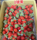 大湖草莓